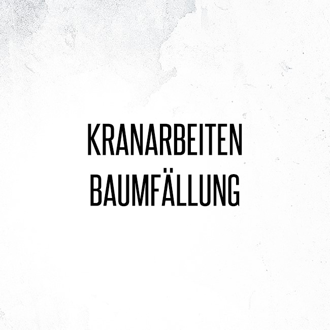 Kranarbeiten und Baumfällung von SD Baukonzept in Hagen